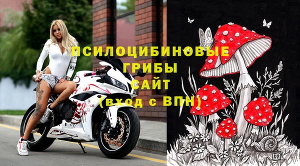 apvp Алзамай