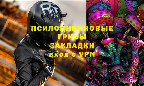 apvp Алзамай